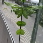 3. JuMaJo Fotomarathon